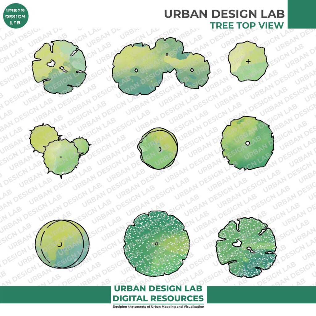 Illustrated Tree Top View Urban Design Lab