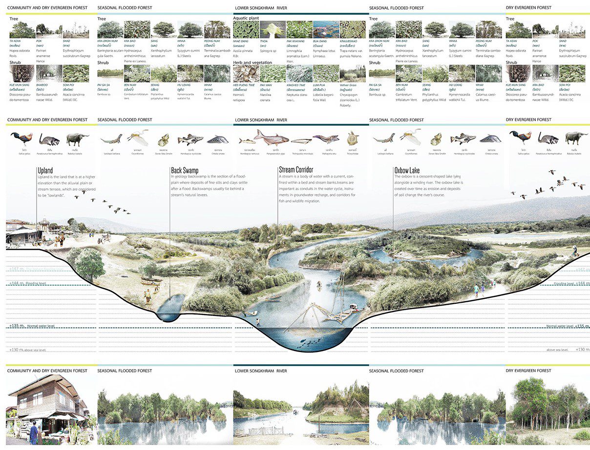 Landscape, resilience, rural landscape, floods, landscape restoration