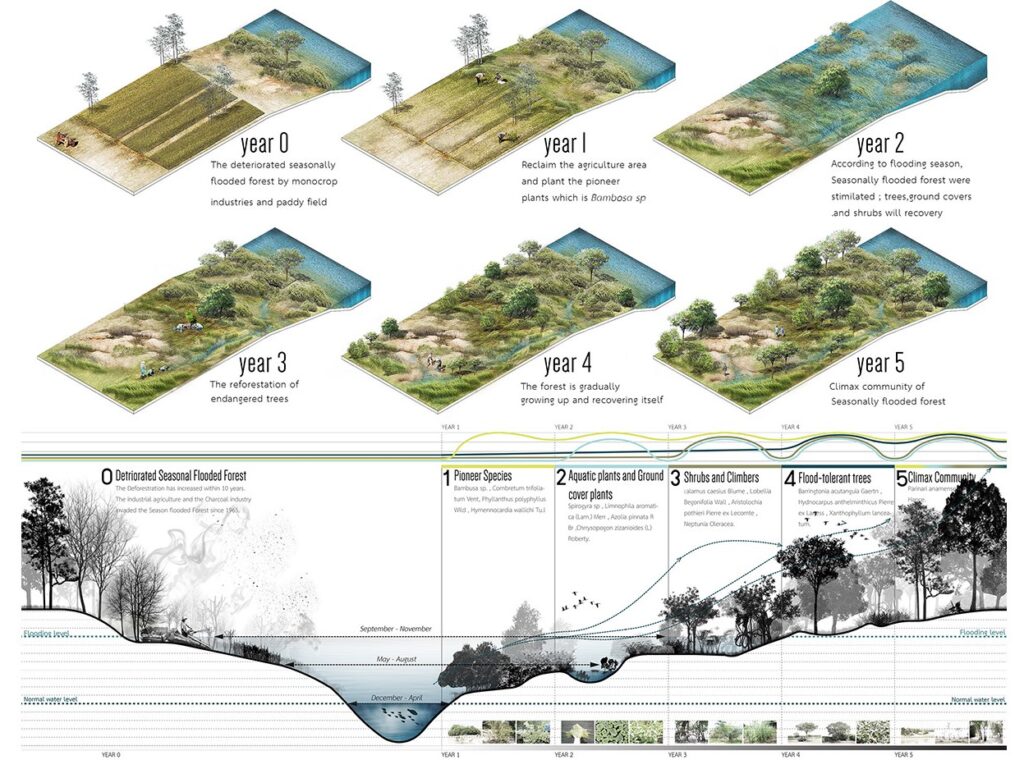 Harmonizing Between Life and Seasonally Flooded Forest Bangkok, Provinces, Thailand | Panithan Kasinphila 2