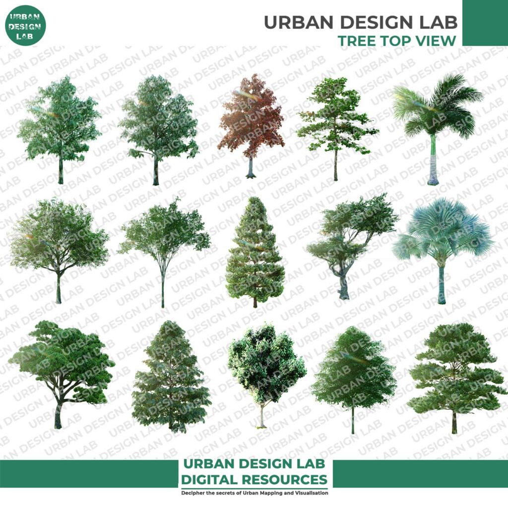 Realistic Trees Elevational View