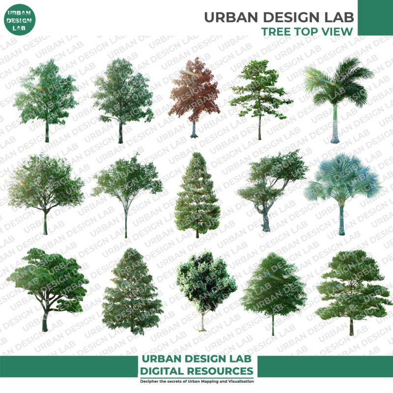 Realistic Trees Elevational View | Urban Design Lab
