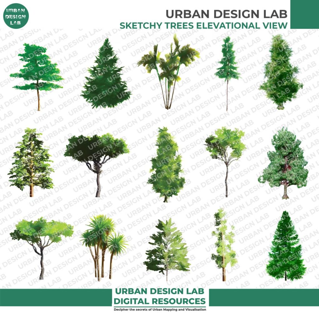Sketchy Trees Elevational View