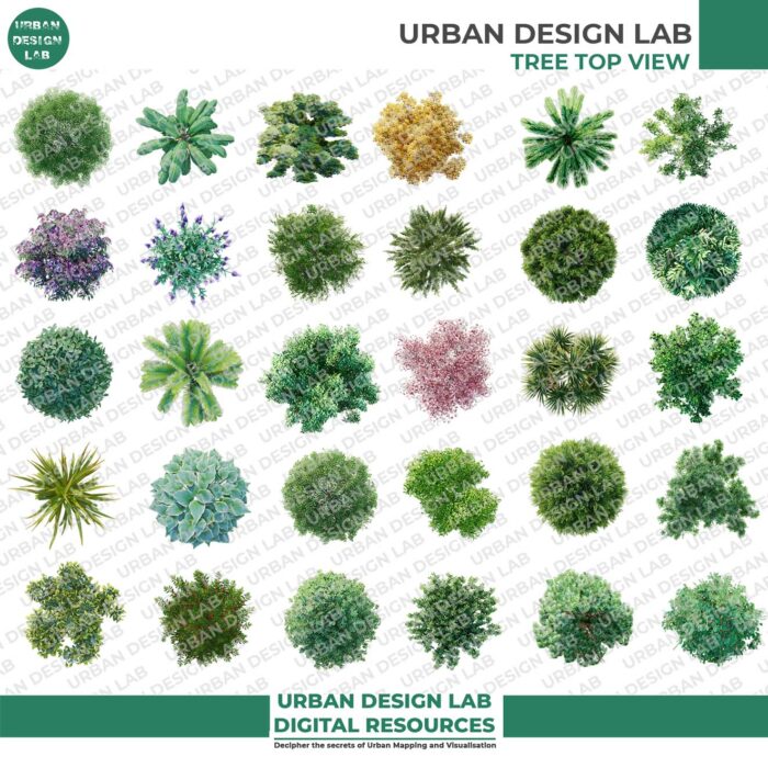 Urban Design Lab 1