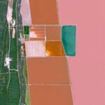 Rural Landscapes: How Food Production Shapes the Land 7