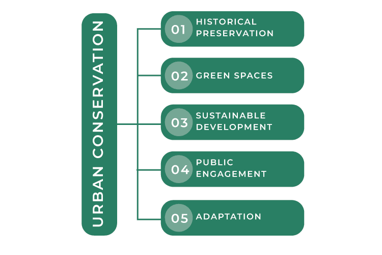 What Is Urban Conservation? 2