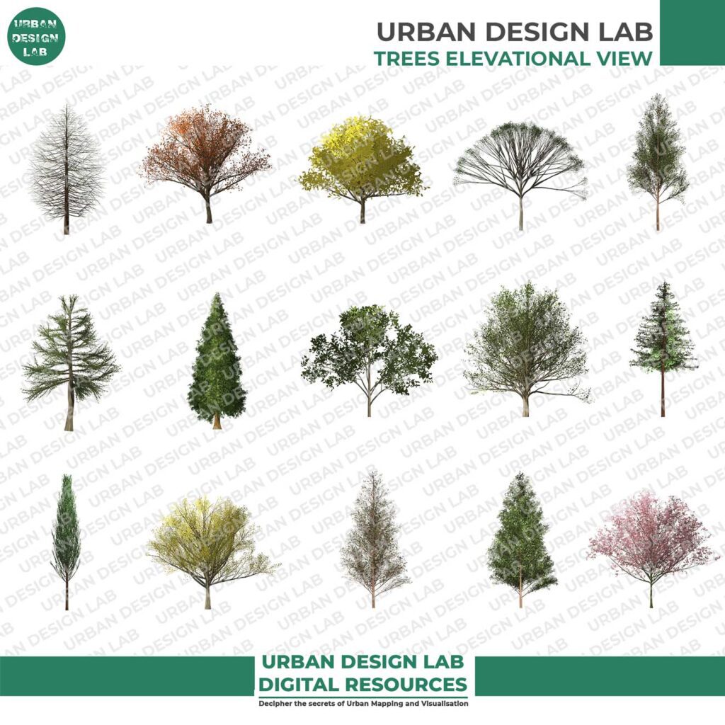 45 Realistic PNG Trees Elevation Cutout