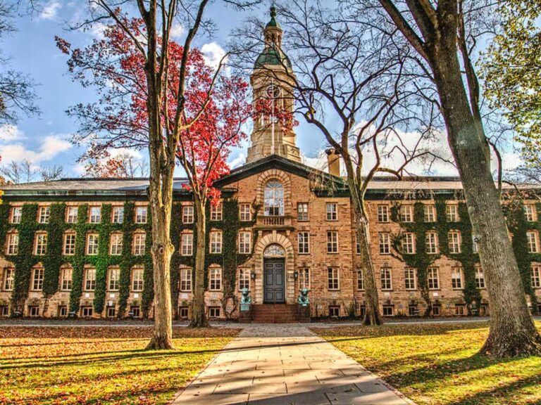 Best Ivy League Colleges For Urban Planning