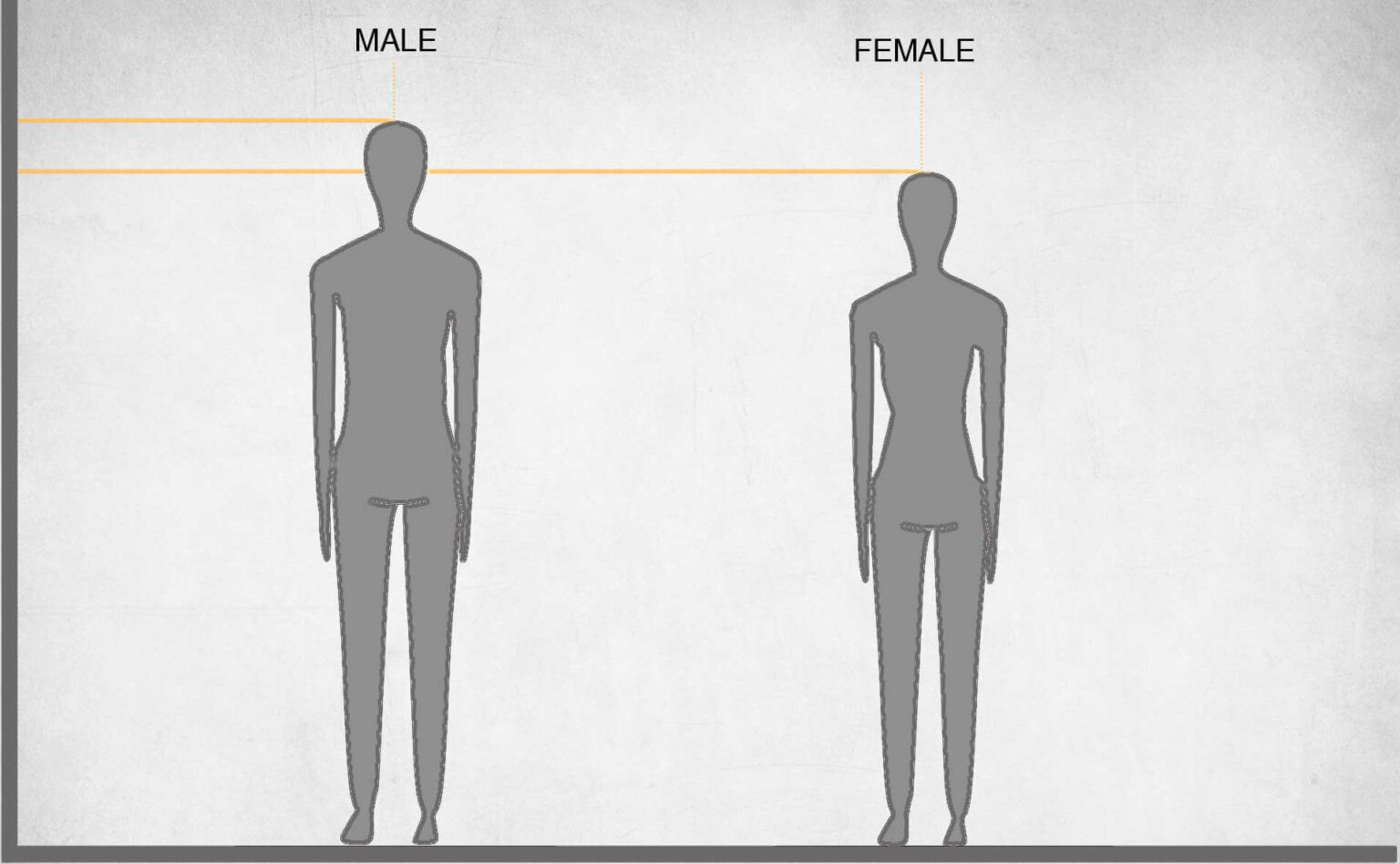 Anthropometry In Architecture Design Urban Design Lab 4600