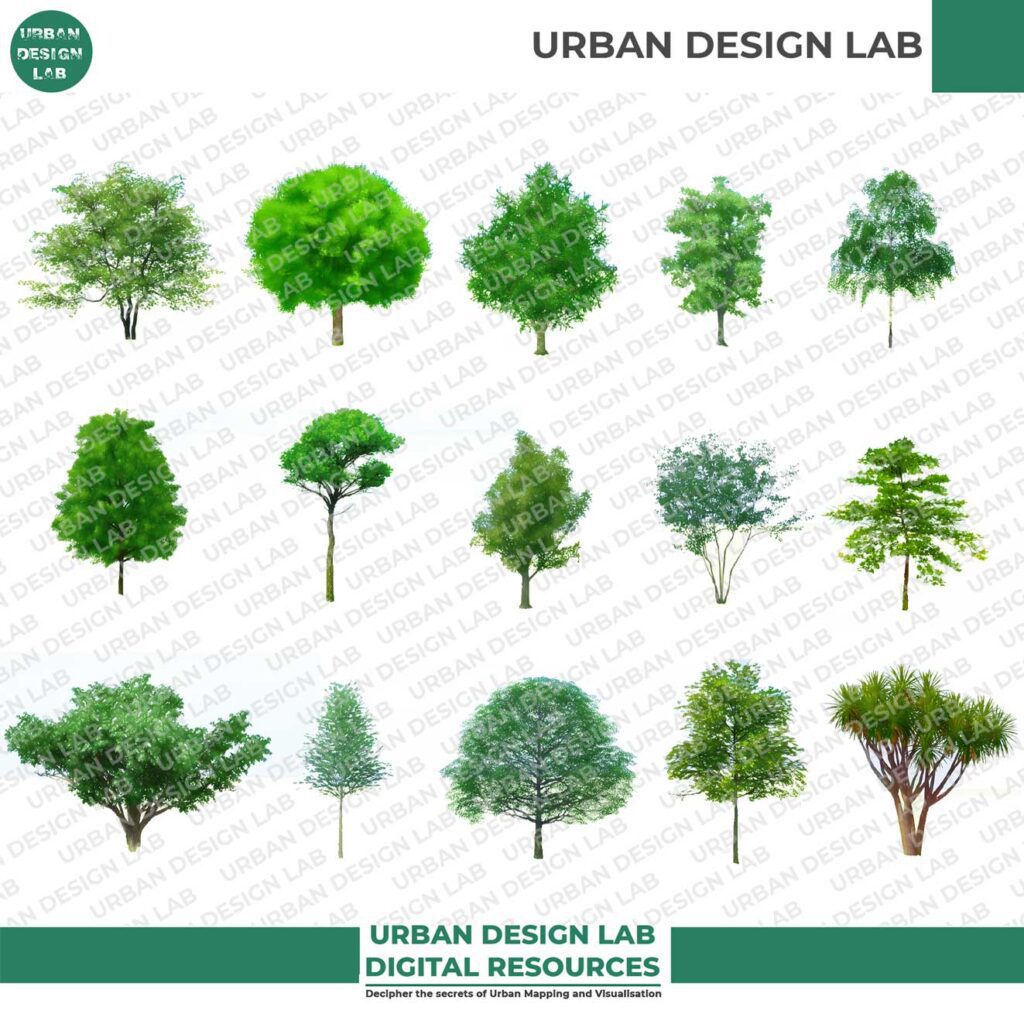 Illustrated Sketchy Trees (PNG and PSD)