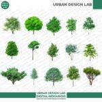 Illustrated Sketchy Trees (PNG and PSD)