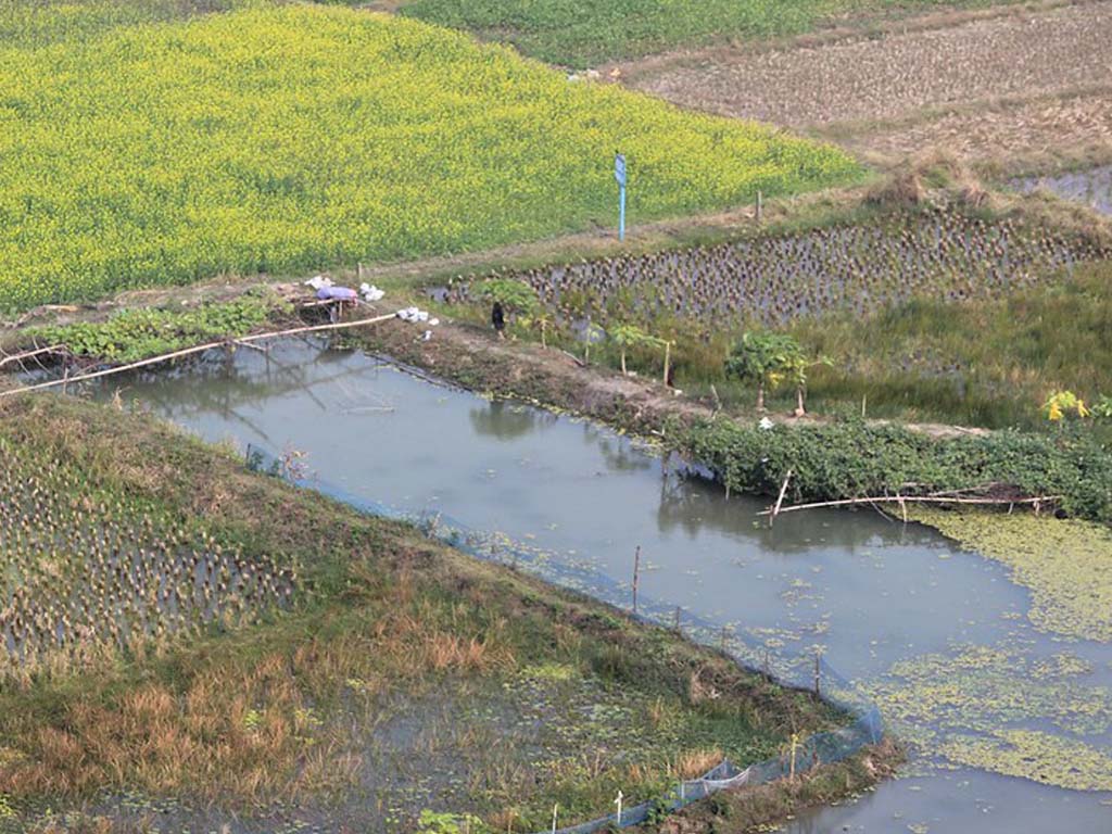 Wetlands as an infrastructure for wastewater management 21