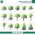 Set of 30 Illustrated Watercolor Trees in Elevation