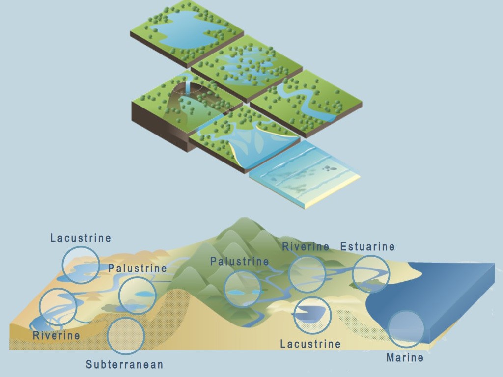 Wetlands as an infrastructure for wastewater management 277
