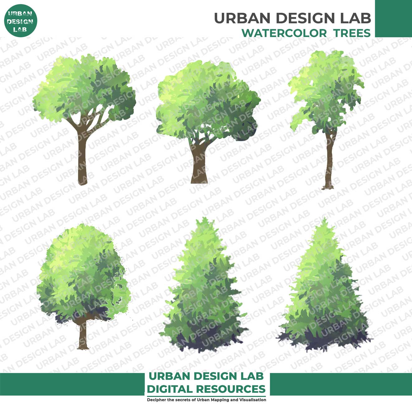 Set Of 30 Illustrated Watercolor Trees In Elevation | Urban Design Lab