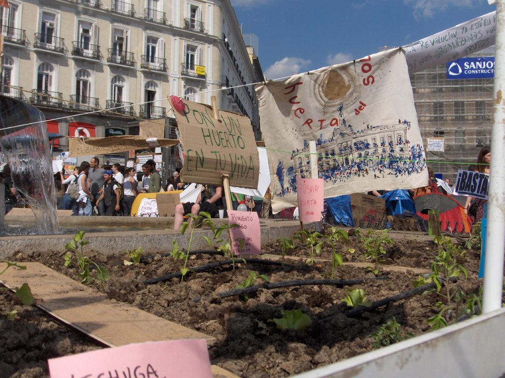 Urban Gardening and Reducing Carbon Footprint 11