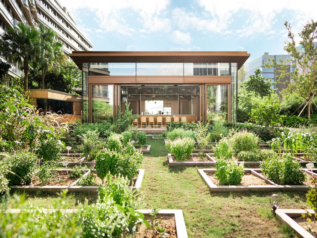 Urban Gardening and Reducing Carbon Footprint 7