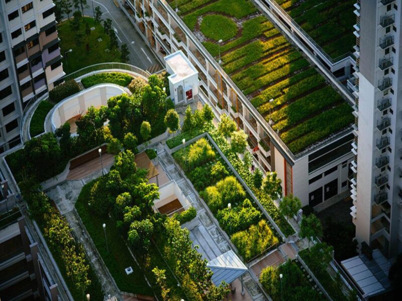 Urban Gardening And Reducing Carbon Footprint