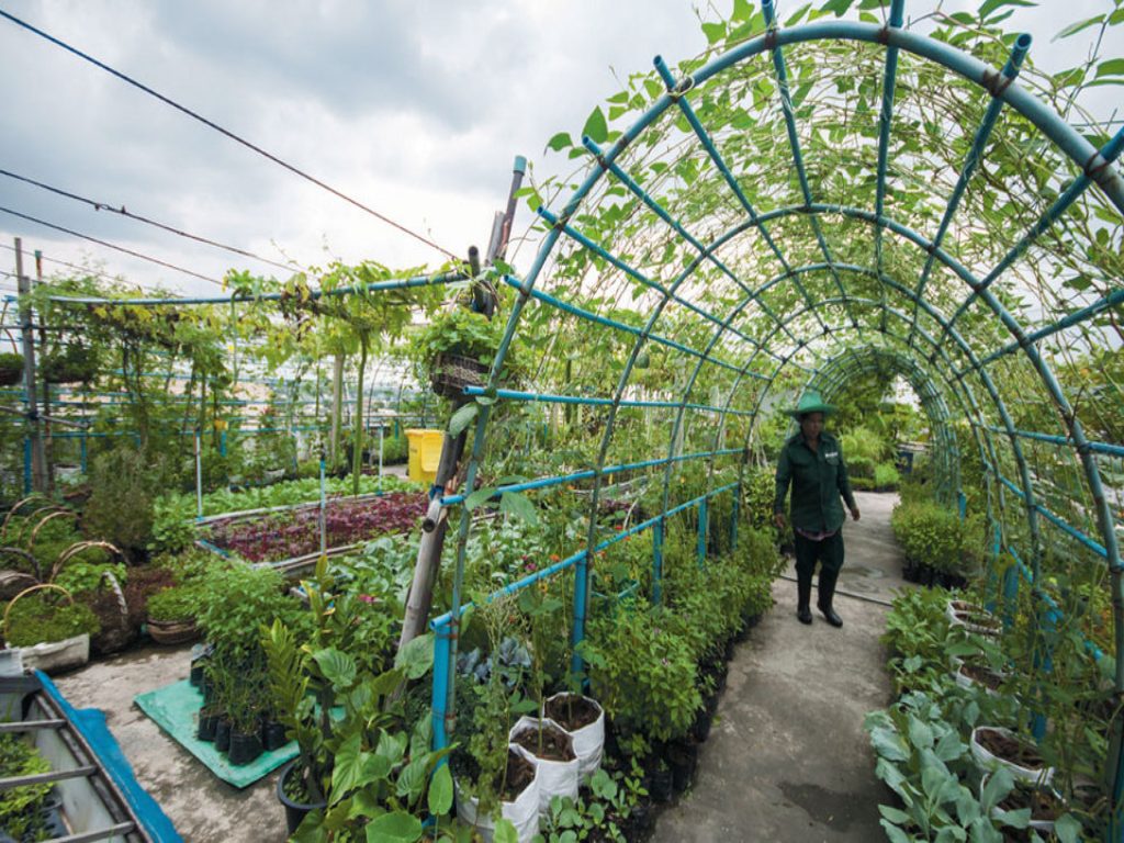 Urban Gardening and Reducing Carbon Footprint 15