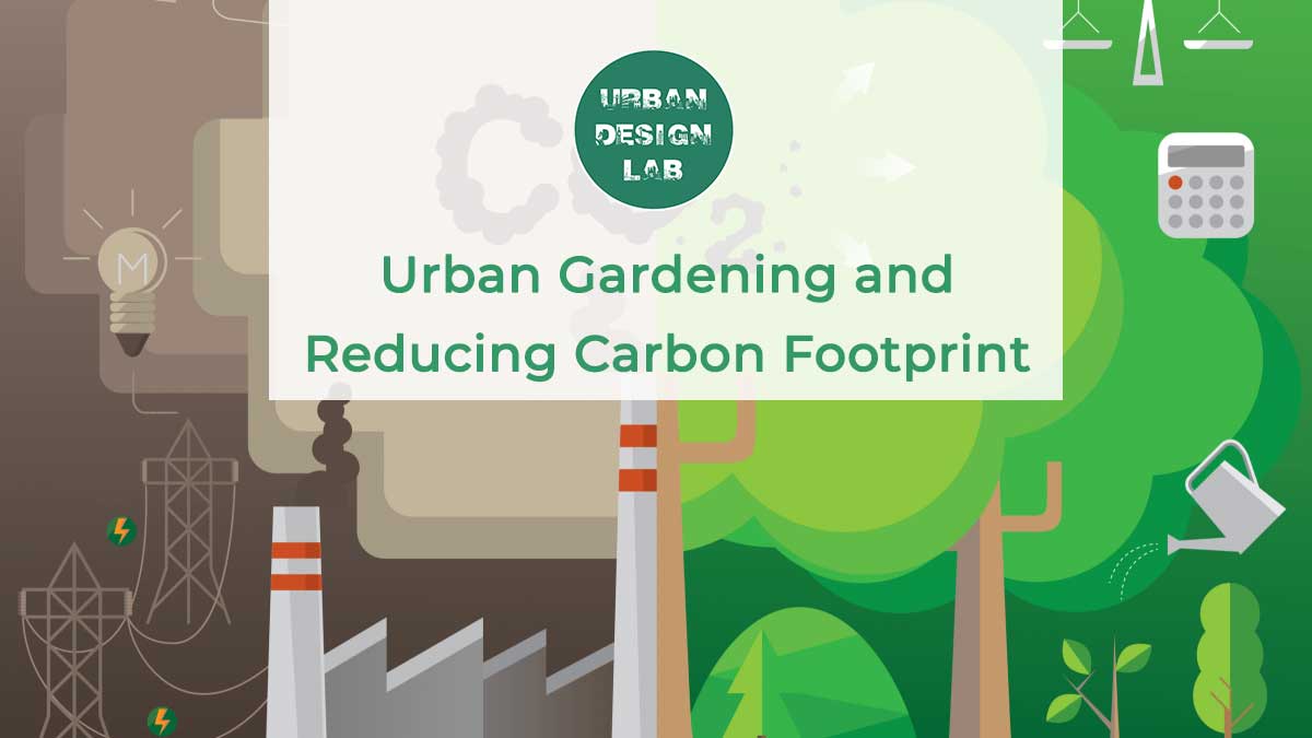 Urban Gardening and Reducing Carbon Footprint