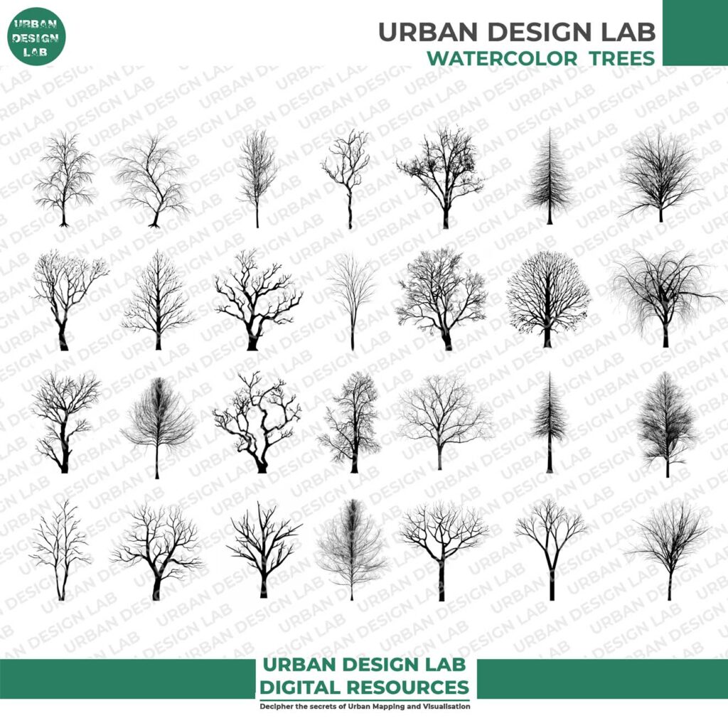 Set of 36 Winter Trees PNG