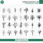 Set of 36 Winter Trees PNG