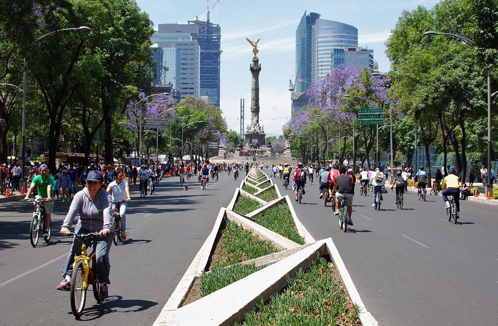 Healthy Veins of the City: Safe and Sustainable Streets