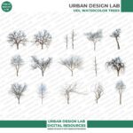 Set of 15 Realistic Winter Trees with Transparent Background