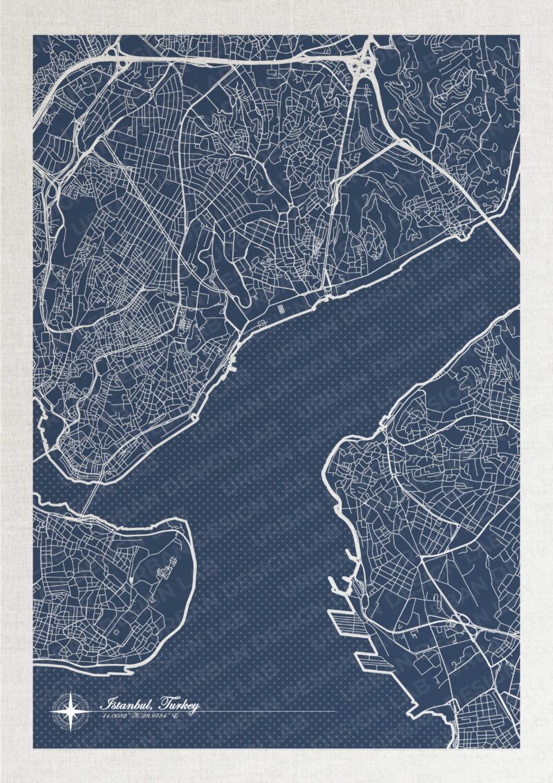 Istanbul City Digital Illustrated Map | Printable Map 4
