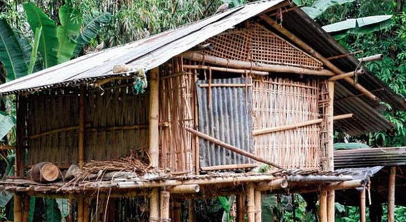Vernacular Architecture- Meaning, Examples and Significance 31