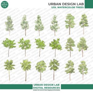 Set of 24 Watercolor PNG Trees