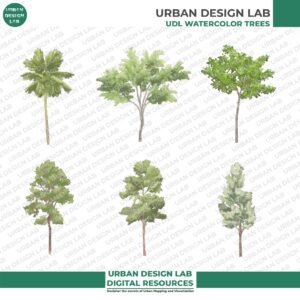 Watercolor PNG Trees
