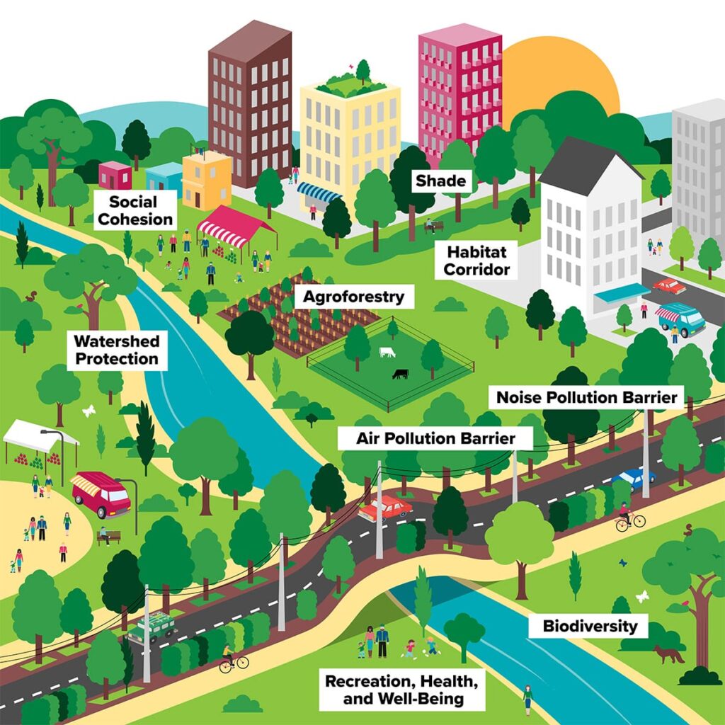 Planning, Urban Forest Master Plan Goals