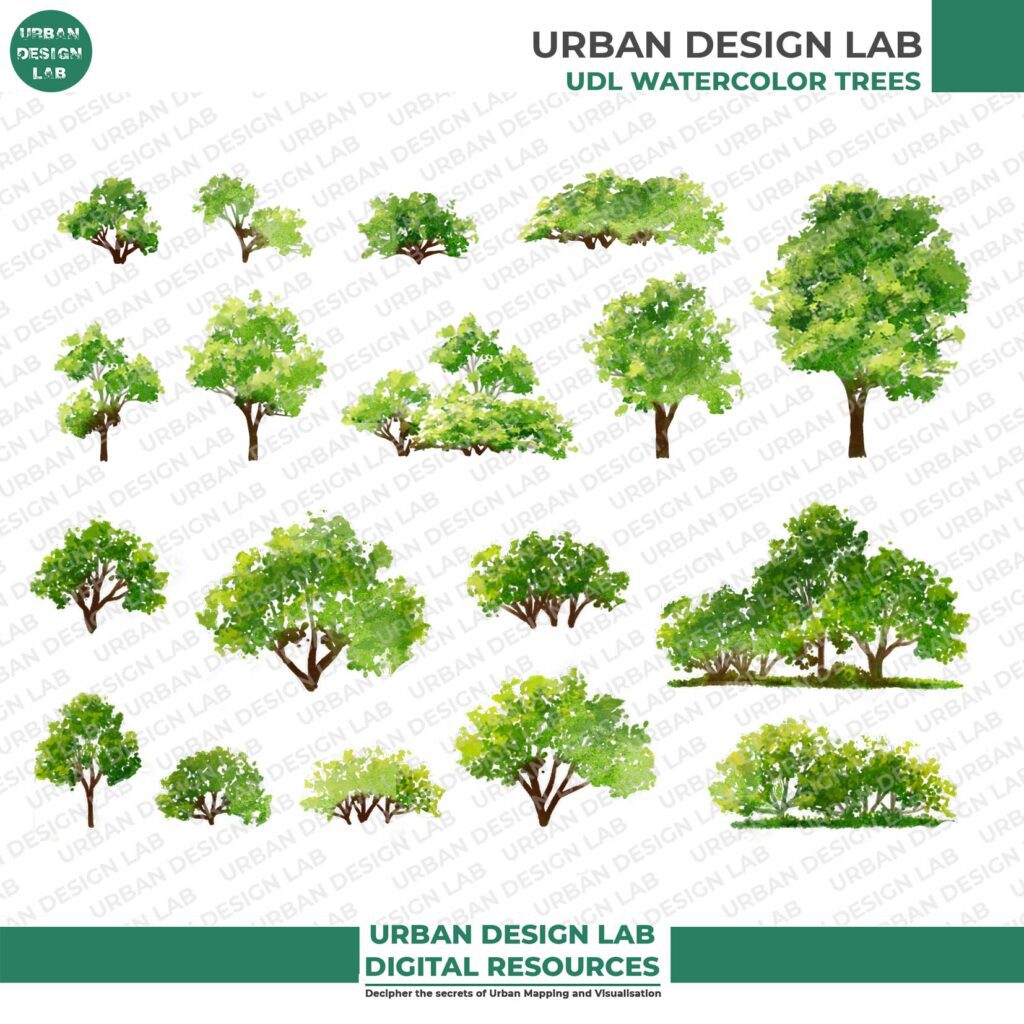 Watercolor Trees for Architecture Illustrations