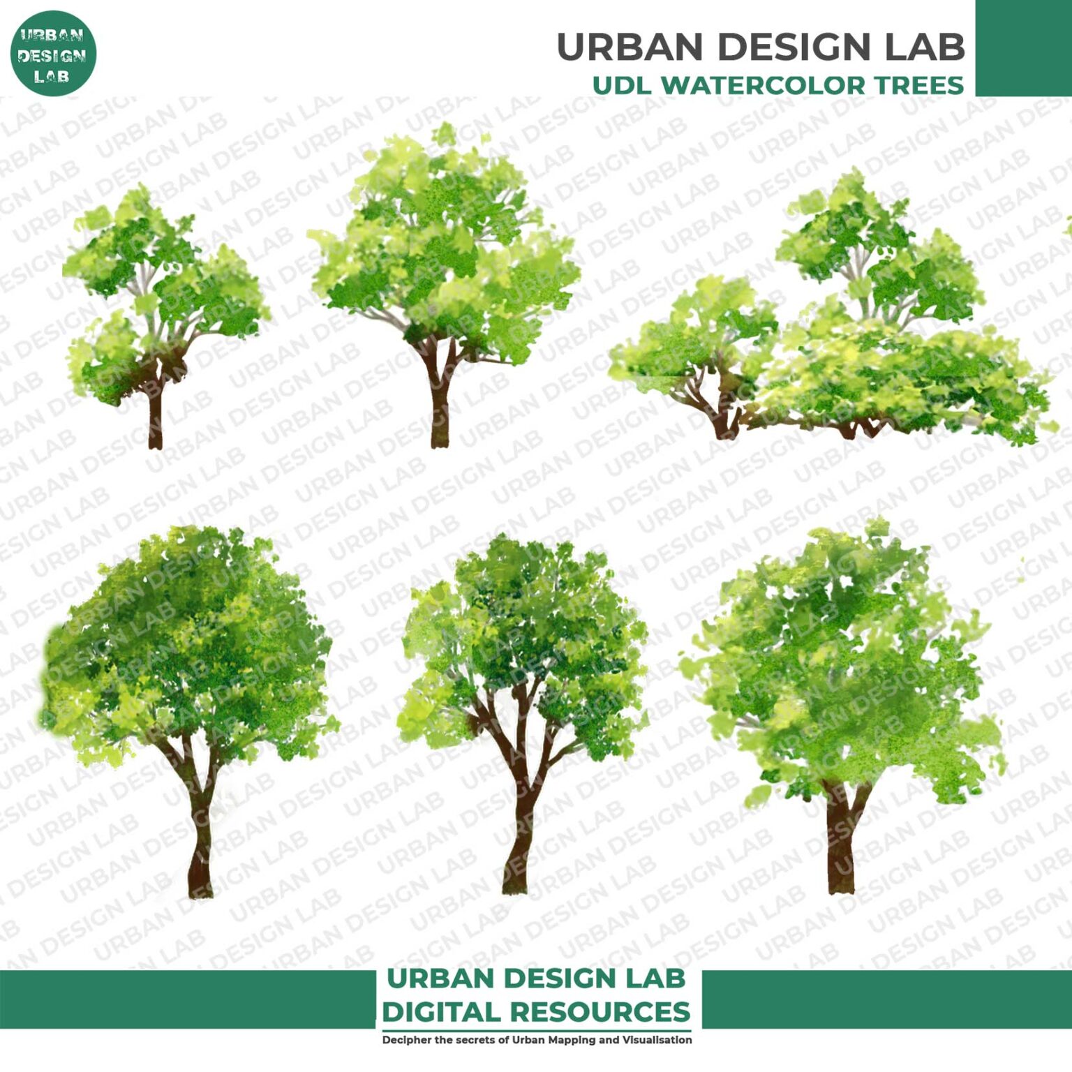 Watercolor Trees For Architecture Illustrations