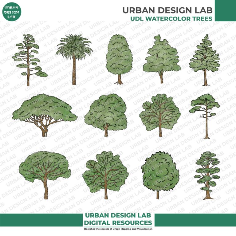 13 Illustrated Trees PNG for Architecture Drawings