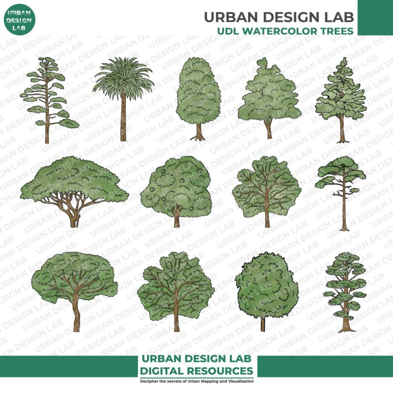 13 Illustrated Trees PNG for Architecture Drawings 1