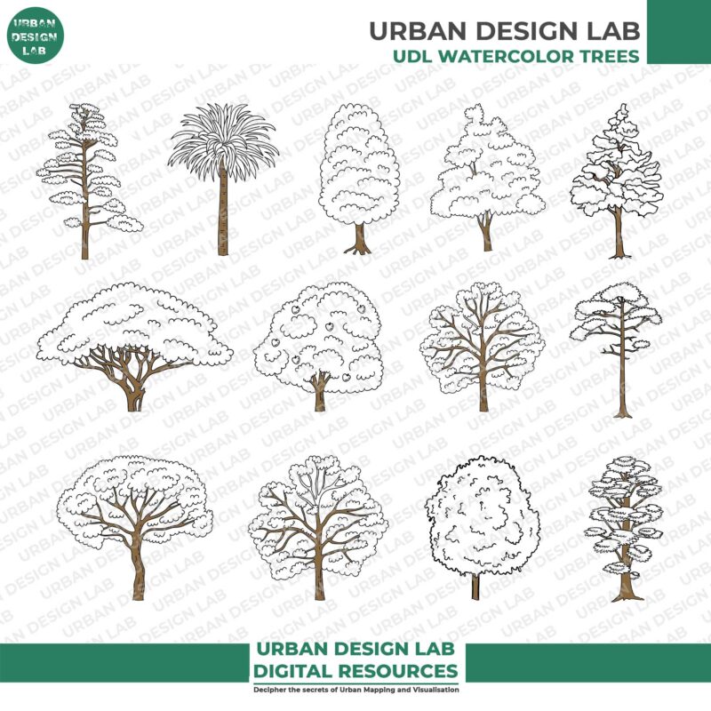 13 Illustrated Trees PNG for Architecture Drawings 2