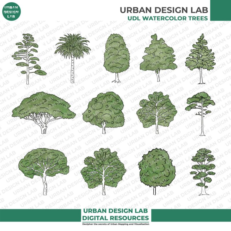 13 Illustrated Trees PNG for Architecture Drawings 3