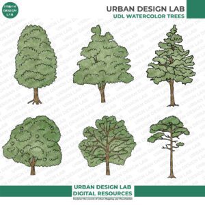 13 Illustrated Trees PNG for Architecture Drawings - Image 4