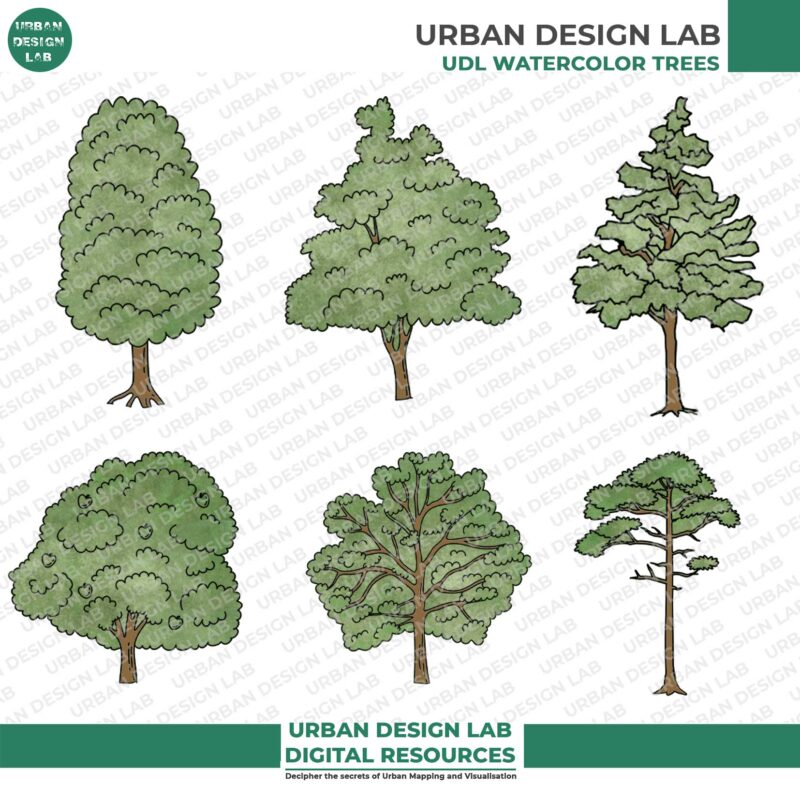 13 Illustrated Trees PNG for Architecture Drawings 4