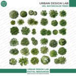 Free Watercolor Trees for Architecture Drawings