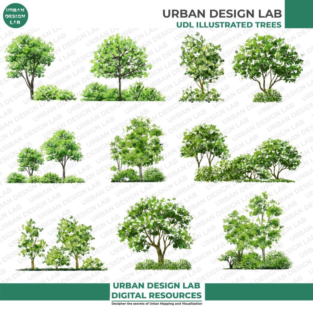 Watercolor Trees Set for Architecture Drawing