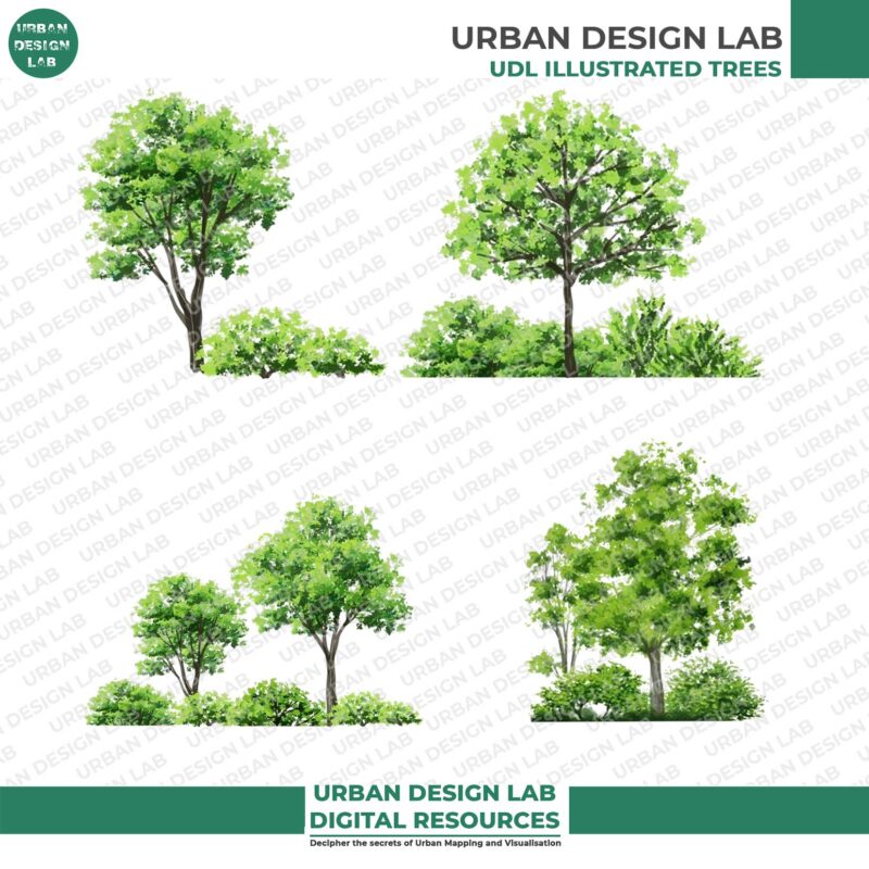 Watercolor Trees Set for Architecture Drawing 3