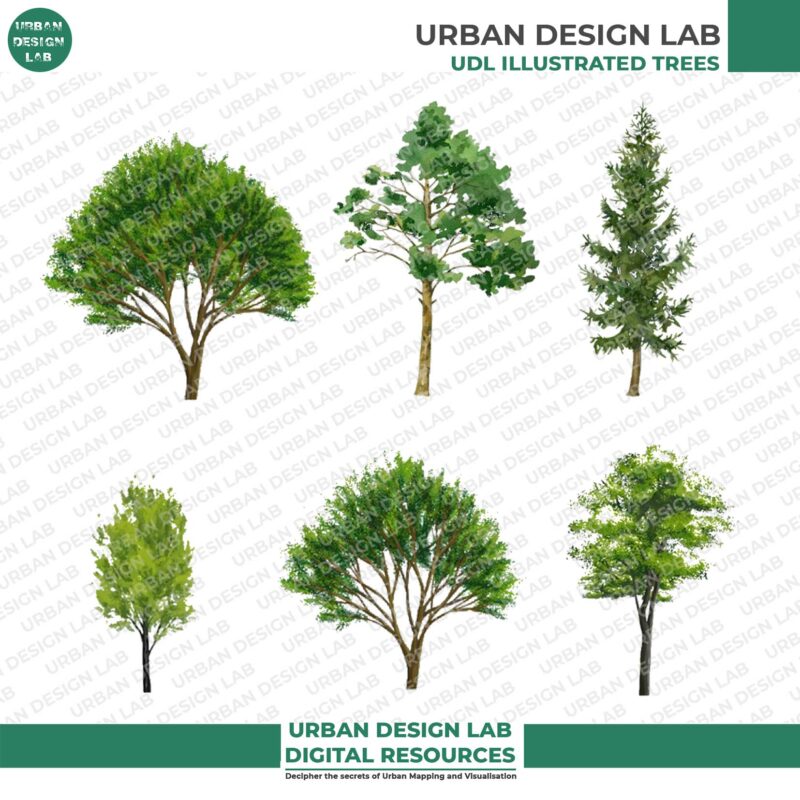 Watercolor Trees for Architecture Drawing 3