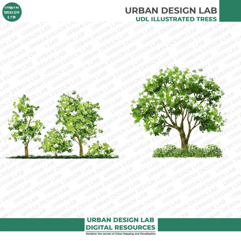 Watercolor Trees Set for Architecture Drawing 3