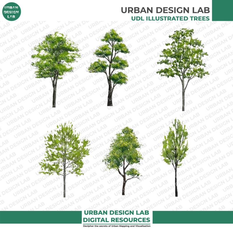 Watercolor Trees for Architecture Drawing - Image 3