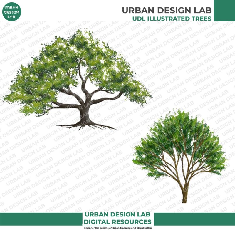 Watercolor Trees for Architecture Drawing 4