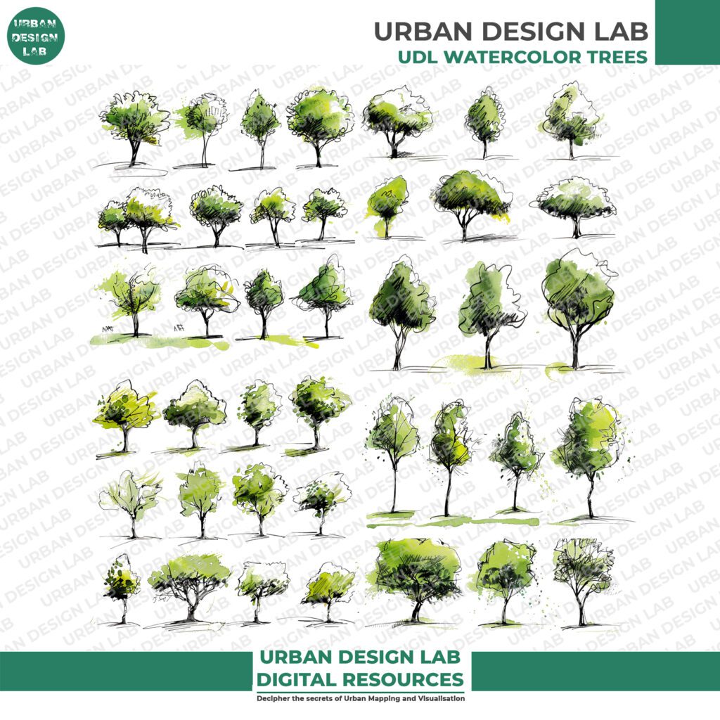 Sketchy Trees for Architecture Drawing