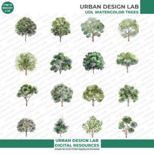 Download 32 Transparent Watercolor Elevation Tree PNGs - Image 2