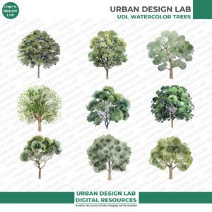Download 32 Transparent Watercolor Elevation Tree PNGs - Image 4
